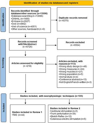 Contribution of neural circuits tested by transcranial magnetic stimulation in corticomotor control of low back muscle: a systematic review